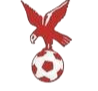 https://img.yuanzhouboyi.com/img/football/team/4802d26df935b78bb2fcdbbff36e8864.png