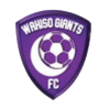 https://img.yuanzhouboyi.com/img/football/team/c5a548d374c3bb29f1190bf670442c90.png